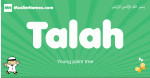 Talah arabic boys name and meaning, quranic boys name Talah