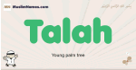 Talah muslim boys name and meaning, islamic boys name Talah