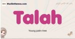 Talah muslim girls name and meaning, islamic girls name Talah