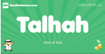 Talhah arabic boys name and meaning, quranic boys name Talhah