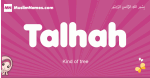 Talhah arabic girls name and meaning, quranic girls name Talhah