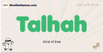 Talhah muslim boys name and meaning, islamic boys name Talhah