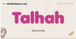 Talhah muslim girls name and meaning, islamic girls name Talhah