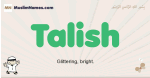 Talish muslim boys name and meaning, islamic boys name Talish