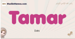 Tamar muslim girls name and meaning, islamic girls name Tamar