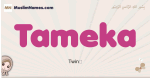 Tameka muslim girls name and meaning, islamic girls name Tameka