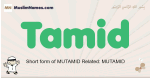 Tamid muslim boys name and meaning, islamic boys name Tamid