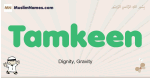 Tamkeen muslim boys name and meaning, islamic boys name Tamkeen