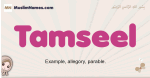 Tamseel muslim girls name and meaning, islamic girls name Tamseel