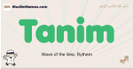 Tanim muslim boys name and meaning, islamic boys name Tanim