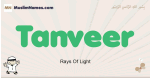 Tanveer muslim boys name and meaning, islamic boys name Tanveer