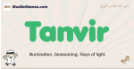 Tanvir muslim boys name and meaning, islamic boys name Tanvir