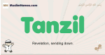 Tanzil muslim boys name and meaning, islamic boys name Tanzil