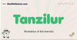 Tanzilur muslim boys name and meaning, islamic boys name Tanzilur