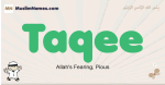Taqee muslim boys name and meaning, islamic boys name Taqee