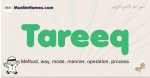 Tareeq muslim boys name and meaning, islamic boys name Tareeq