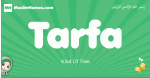 Tarfa arabic girl name and meaning, quranic girls name Tarfa