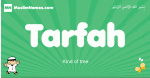 Tarfah arabic boys name and meaning, quranic boys name Tarfah