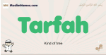 Tarfah muslim boys name and meaning, islamic boys name Tarfah