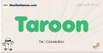 Taroon muslim boys name and meaning, islamic boys name Taroon