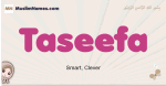 Taseefa muslim girls name and meaning, islamic girls name Taseefa