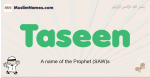 Taseen muslim boys name and meaning, islamic boys name Taseen