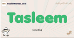 Tasleem muslim boys name and meaning, islamic boys name Tasleem