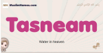Tasneam muslim girls name and meaning, islamic girls name Tasneam