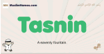Tasnin muslim boys name and meaning, islamic boys name Tasnin