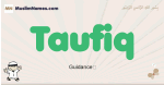 Taufiq muslim boys name and meaning, islamic boys name Taufiq
