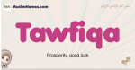 Tawfiqa muslim girls name and meaning, islamic girls name Tawfiqa