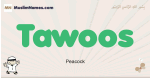 Tawoos muslim boys name and meaning, islamic boys name Tawoos