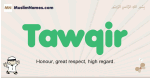 Tawqir muslim boys name and meaning, islamic boys name Tawqir