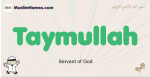 Taymullah muslim boys name and meaning, islamic boys name Taymullah