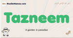 Tazneem muslim boys name and meaning, islamic boys name Tazneem