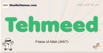 Tehmeed muslim boys name and meaning, islamic boys name Tehmeed