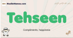 Tehseen muslim boys name and meaning, islamic boys name Tehseen
