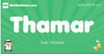 Thamar arabic boys name and meaning, quranic boys name Thamar