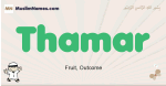 Thamar muslim boys name and meaning, islamic boys name Thamar