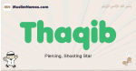 Thaqib muslim boys name and meaning, islamic boys name Thaqib