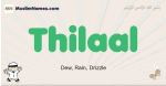 Thilaal muslim boys name and meaning, islamic boys name Thilaal