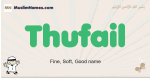 Thufail muslim boys name and meaning, islamic boys name Thufail