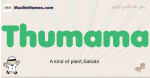 Thumama muslim boys name and meaning, islamic boys name Thumama