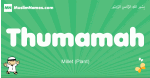 Thumamah arabic boys name and meaning, quranic boys name Thumamah