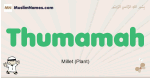 Thumamah muslim boys name and meaning, islamic boys name Thumamah