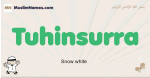 Tuhinsurra muslim boys name and meaning, islamic boys name Tuhinsurra