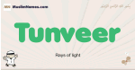 Tunveer muslim boys name and meaning, islamic boys name Tunveer