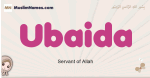 Ubaida muslim girls name and meaning, islamic girls name Ubaida