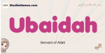 Ubaidah muslim girls name and meaning, islamic girls name Ubaidah