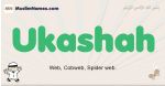 Ukashah muslim boys name and meaning, islamic boys name Ukashah
